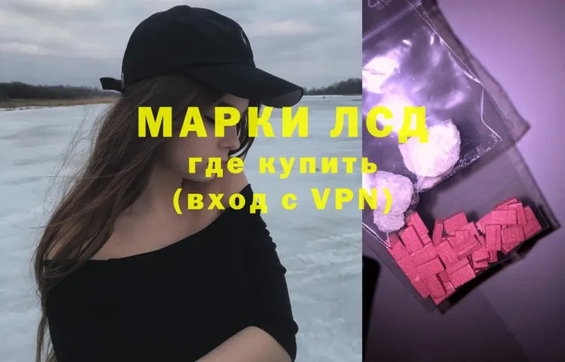 наркота  Кедровый  Лсд 25 экстази ecstasy 